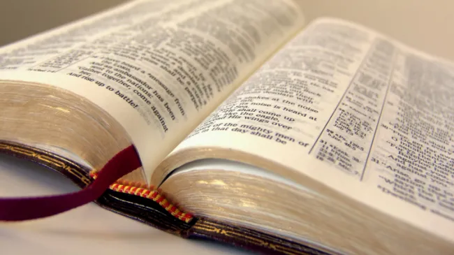 bible